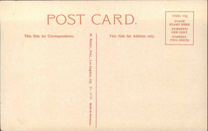 Santa Rosa CA Mammoth Redwood Grove c1910 Postcard