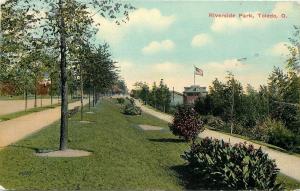 Toledo Ohio~Path Split by Trees, Shrubs~Riverside Park~1910 Postcard