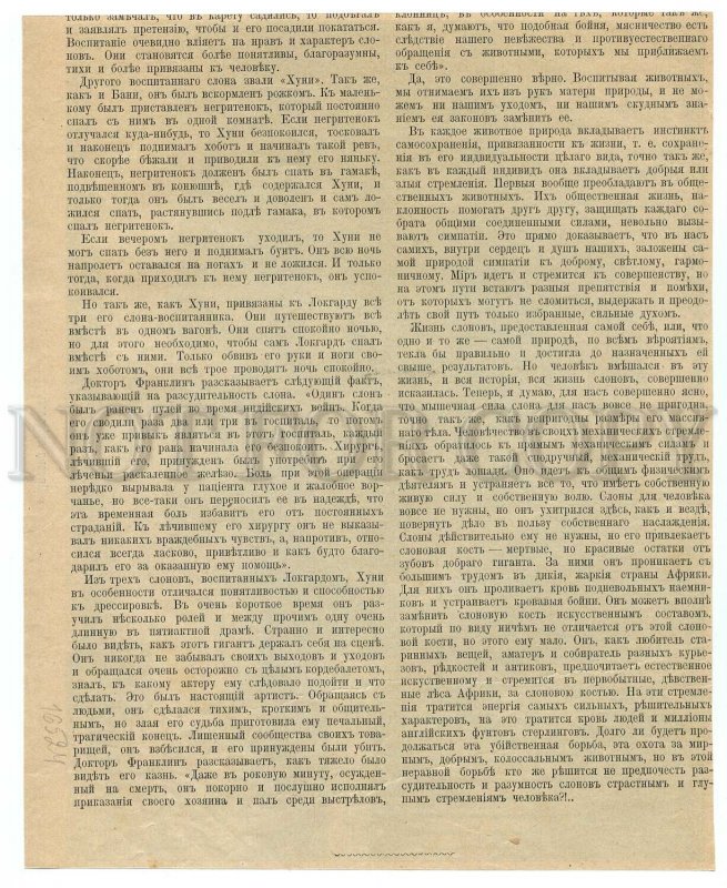 016524 GREAT DANE & ELEPHANT. Vintage page from book