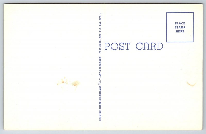 State Map~Hello From Kansas~Russell~Harper~Meade~Ottawa~Norton~Linen Postcard