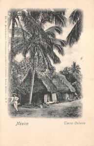 TIERRA CALIENTE MEXICO POSTCARD (c. 1905)