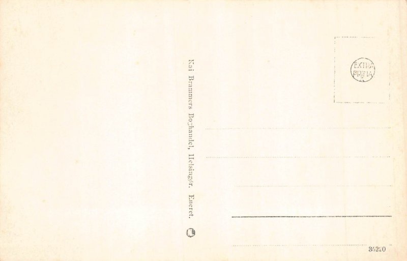 B237 Finland Kronborg Sydflojen Palace RPPC postcard