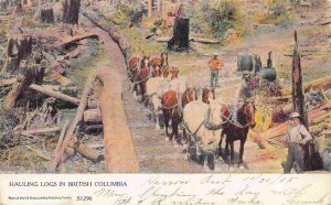 Hauling Logs Logging in British Columbia Canada 1905 postcard