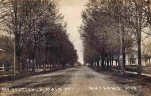 South Main Street Residential Section Wayland Michigan 1910 Real Photo postcard