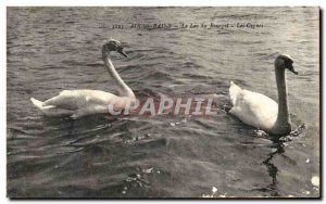 Old Postcard Aix les Bains Swan Swan Lake Bourget