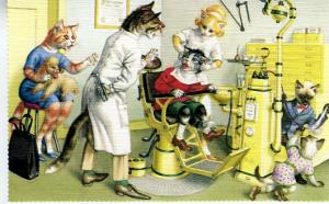Mainzer - Pulling Teeth - Dentist - Cat Postcard