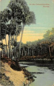 Palatka Florida c1910 Postcard View On The Caloosahatchee River