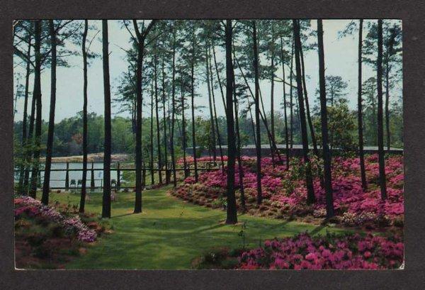 VA Delhaven Gardens & Nursery BAYSIDE VIRGINIA Postcard