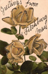 Vintage Postcard 1906 Greetings From Fitchburg Massachusetts Glittered Flowers