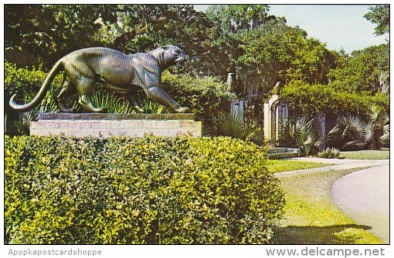 South Carolina Murrells Inlet Brookgreen Gardens Panther