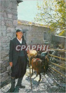 Postcard Modern Cyprus A Bergere Chevre