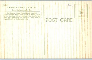 The Greater Kudu From The Los Angeles Zoo Postcard