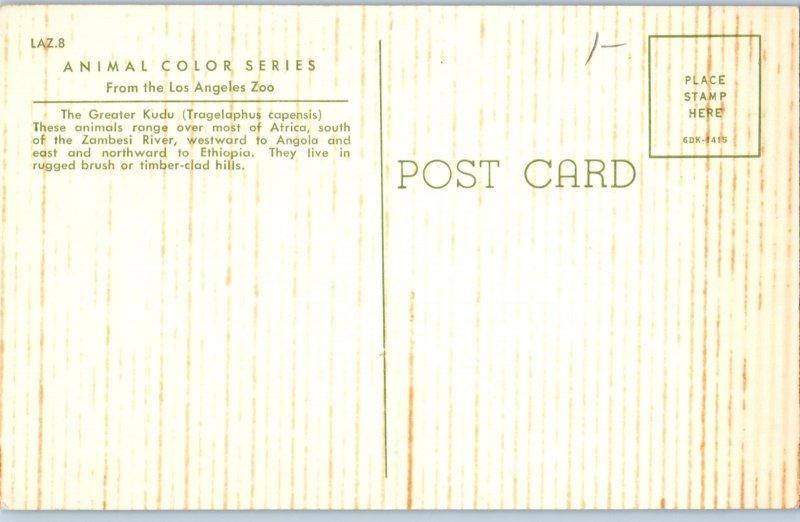 The Greater Kudu From The Los Angeles Zoo Postcard