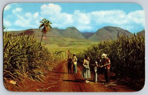 Postcard Sugar Fields - West Maui Mountains