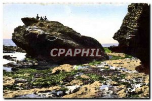 Entree Modern Postcard Cross Vire Zion on L & # 39Ocean rock frog