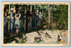 1941 Miami Florida Vintage Postcard Caged Spectators Feeding Wild Monkeys Jungle