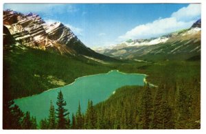 Mount Patterson, Peyto Lake, Alberta, Canadian Rockies