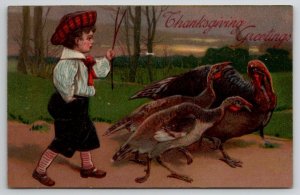 Thanksgiving Greetings Child With Turkeys c1908 Postcard C40