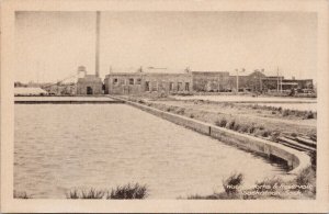 Saskatoon SK Water Works & Reservoir Unused Heliotype Postcard H59