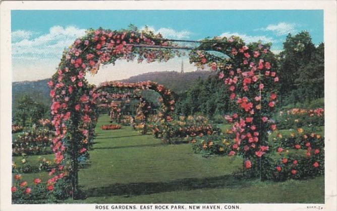 Connecticut New Haven Rose Gardens East Rock Park Curteich