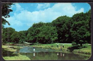 Stepping Stones,Apple River Canyon,Illinois State Park,IL