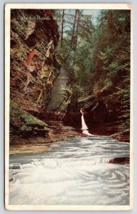 Cathedral Rapids Finger Lakes Park  Watkins Glen New York NY Falls View Postcard