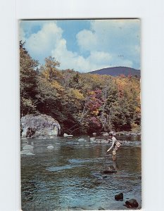 Postcard Its A Strike Ausable River Adirondacks New York USA