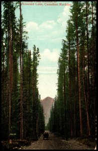 Snow Peak Avenue to Emerald Lake,Canadian Rockies,Canada BIN