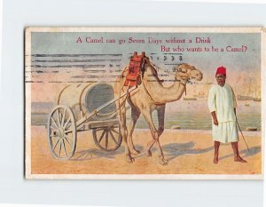 Postcard A Camel can go Seven Days without a Drink, But who wants to be a Camel?