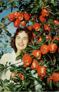 WA Apple Harvest Time Orchard Woman Smiling Red Apples Washington Postcard H19
