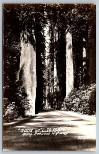 RPPC  Redwood Highway  California Real Photo Postcard  c1930