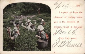 Japanese Children Picking Tea Chase & Sanborn Calling Card c1905 Postcard