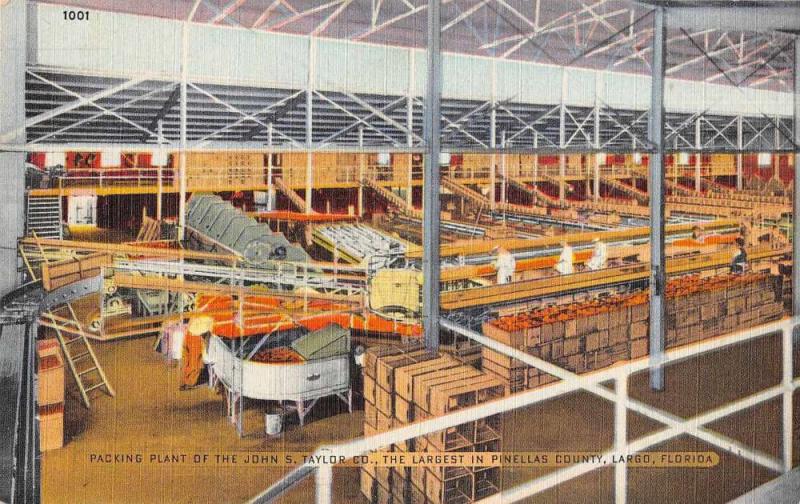 Largo Florida Packing Plant of John S Taylor Co Interior Antique Postcard J73953