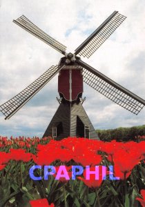 Postcard Modern Tulipshow Frans Roozen
2114 BB Vogelenzang â € Holland