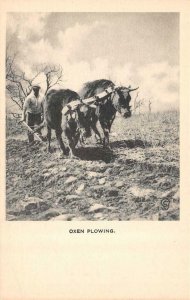 Farming~Agriculture  OXEN PLOWING Farmer~Hand Plow  1920 Vintage B&W Postcard