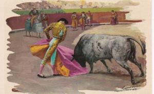 Mexico Bull Fight Charging The Cape