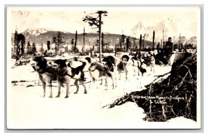 First Dog Sled Team Nome To Seward Alaska AK UNP Sexton Photo Postcard Y16