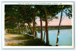 1935 View on Shore of Lake Pennesseewassee, Norway Maine ME Vintage Postcard