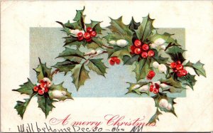 Merry Christmas With Holly 1906