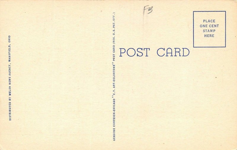 LP44 Newark  Ohio Postcard Big Large Letters