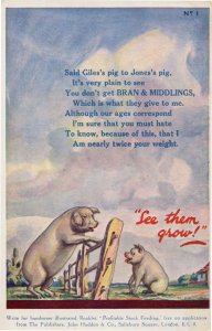 Bran & Middlings Farm Cattle Pig Food Antique Advertising Postcard