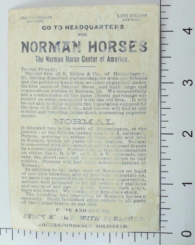 1880's-90's Norman Horses Horse Breeder Image Of Mrs. Eliza Ballou Garfield P62 