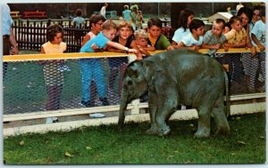 M-2174 Children's Zoo at Brookfield