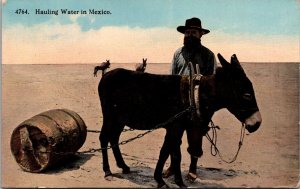 Man With Burro, Hauling Water in Mexico c1915 Vintage Postcard O52