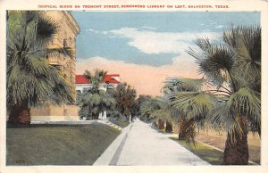 Tropical Scene On Tremont Street - Galveston, Texas TX  