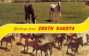 South Dakota Greetings from, South Dakota SD