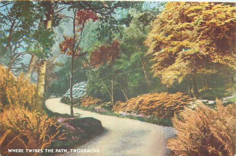Postcard UK England Trossachs Where twines the path