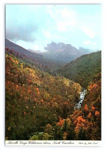 Linville Gorge Wilderness Area North Carolina Continental View Postcard