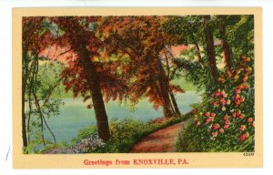 PA - Knoxville. Greetings From…