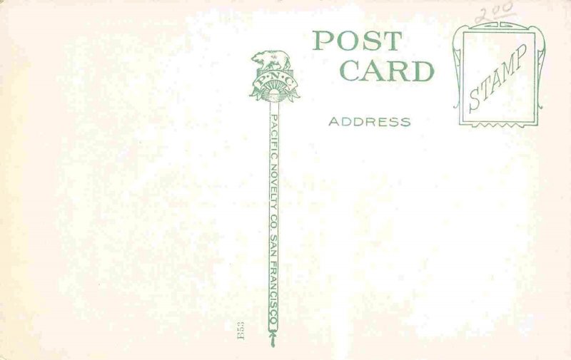 Hotel Huntington Pasadena California 1910c postcard